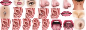 all kinds of body piercing | https://www.piercingpavilion.com.au