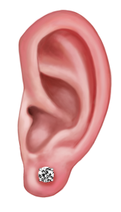 Ear lobe with stud | https://www.piercingpavilion.com.au/